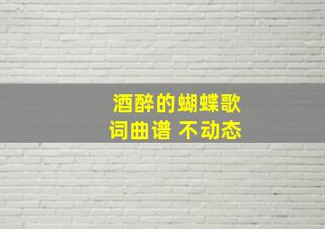 酒醉的蝴蝶歌词曲谱 不动态